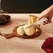 Alessi Antechinus Cheese Knife Gift Set